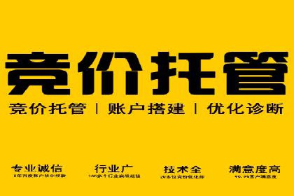 竞价托管服务对比：不同平台的优劣分析